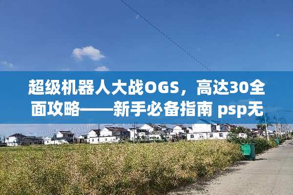 超级机器**战OGS，高达30全面攻略——新手必备指南 psp无双大蛇攻略