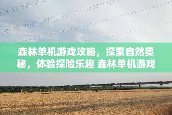 森林单机游戏攻略，探索自然奥秘，体验探险乐趣 森林单机游戏攻略