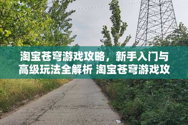 淘宝苍穹游戏攻略，新手入门与高级玩法全解析 淘宝苍穹游戏攻略