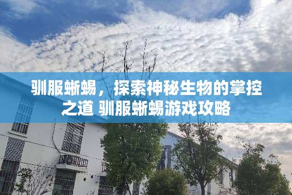 驯服蜥蜴，探索神秘生物的掌控之道 驯服蜥蜴游戏攻略