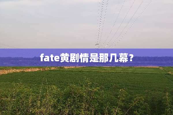 fate黄剧情是那几幕？