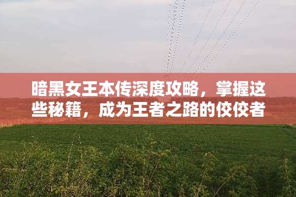暗黑女王本传深度攻略，掌握这些秘籍，成为王者之路的佼佼者 暗黑女王本传攻略