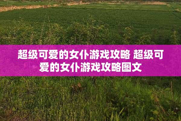 超级可爱的女仆游戏攻略 超级可爱的女仆游戏攻略图文