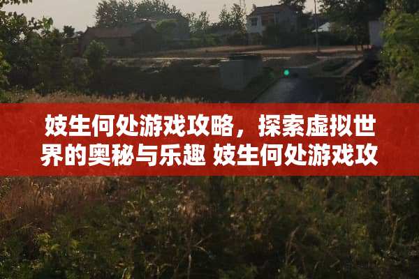 妓生何处游戏攻略，探索虚拟世界的奥秘与乐趣 妓生何处游戏攻略