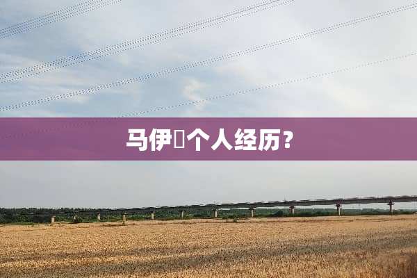 马伊琍个人经历？