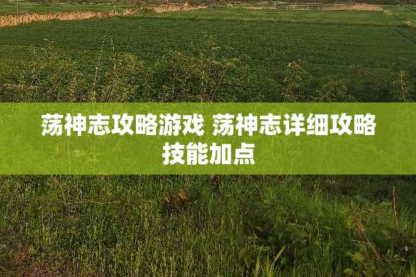 荡神志攻略游戏 荡神志详细攻略技能加点