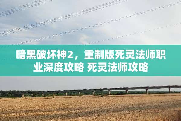 暗黑破坏神2，重制版死灵法师职业深度攻略 死灵法师攻略