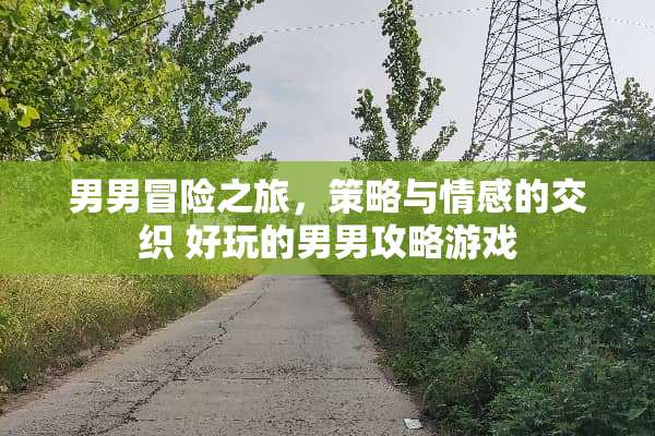 男男冒险之旅，策略与情感的交织 好玩的男男攻略游戏