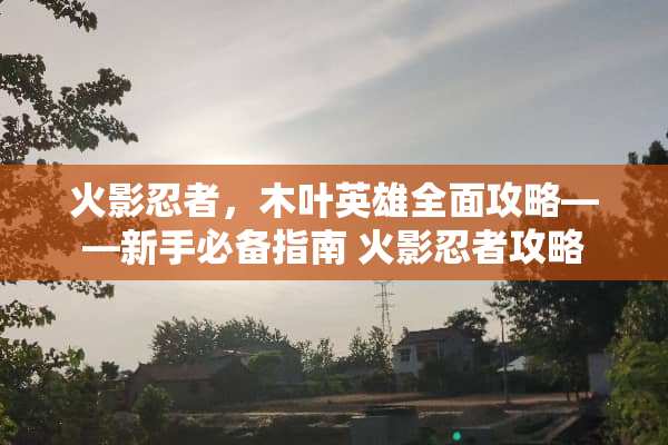 火影忍者，木叶英雄全面攻略——新手必备指南 火影忍者攻略