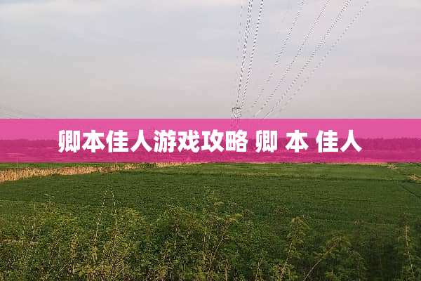 卿本佳人游戏攻略 卿 本 佳人