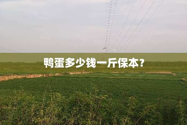 鸭蛋多少钱一斤保本？