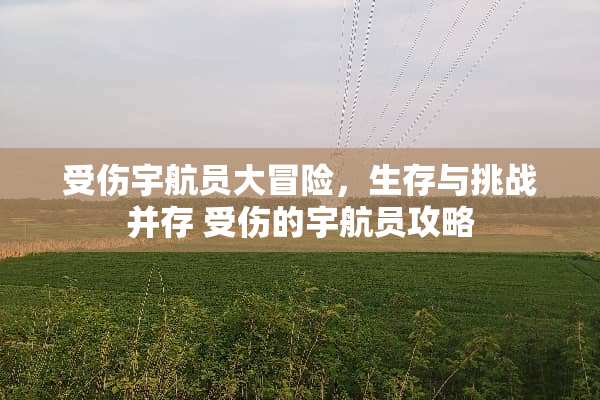 受伤宇航员大冒险，生存与挑战并存 受伤的宇航员攻略