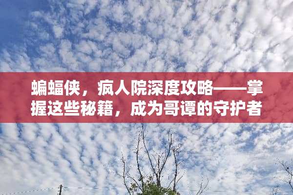 蝙蝠侠，疯人院深度攻略——掌握这些秘籍，成为哥谭的守护者 蝙蝠侠疯人院攻略