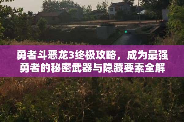 勇者斗恶龙3终极攻略，成为最强勇者的秘密**与隐藏要素全解析 勇者斗恶龙3详细攻略