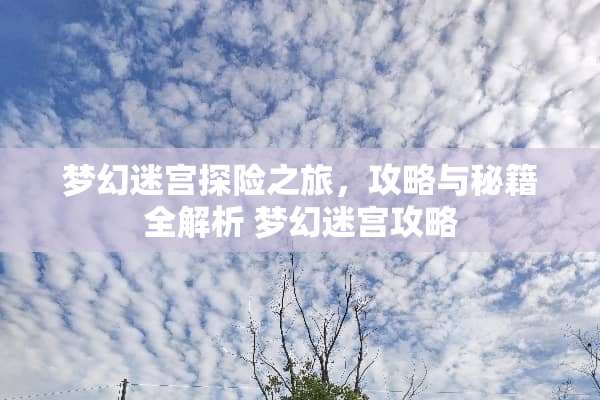梦幻迷宫探险之旅，攻略与秘籍全解析 梦幻迷宫攻略