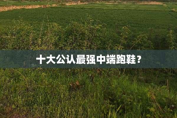十大公认最强中端跑鞋？