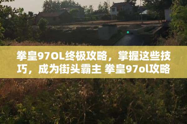 拳皇97OL终极攻略，掌握这些技巧，成为街头霸主 拳皇97ol攻略