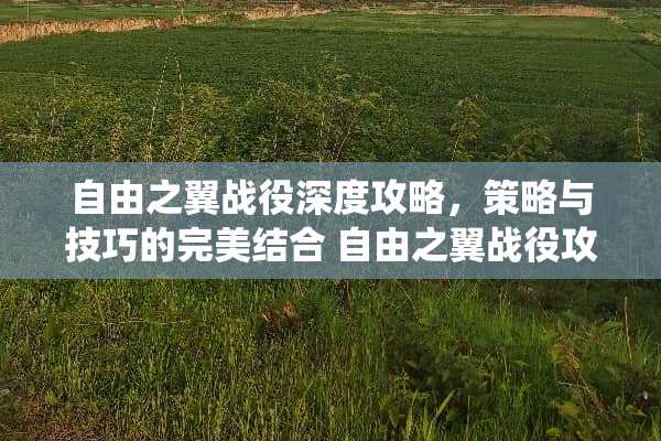 自由之翼战役深度攻略，策略与技巧的完美结合 自由之翼战役攻略