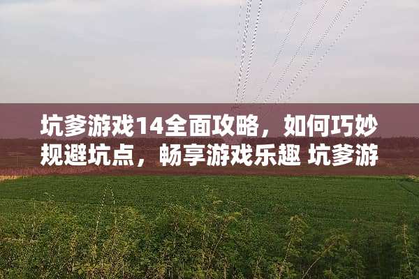 坑爹游戏14全面攻略，如何巧妙规避坑点，畅享游戏乐趣 坑爹游戏14攻略大全
