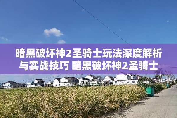 暗黑破坏神2圣骑士玩法深度解析与实战技巧 暗黑破坏神2圣骑士玩法