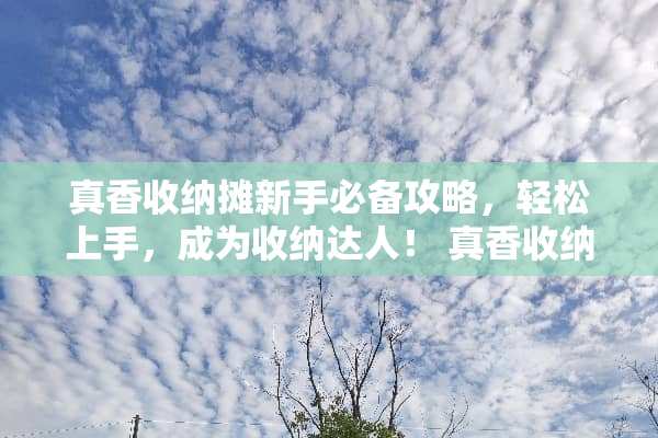 真香收纳摊新手必备攻略，轻松上手，成为收纳达人！ 真香收纳摊小游戏攻略