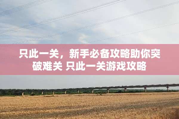 只此一关，新手必备攻略助你突破难关 只此一关游戏攻略