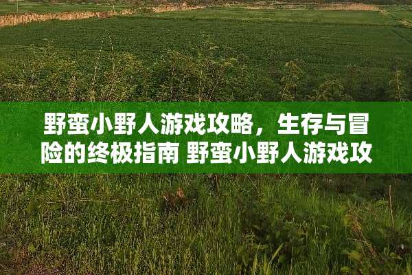 野蛮小野人游戏攻略，生存与冒险的终极指南 野蛮小野人游戏攻略
