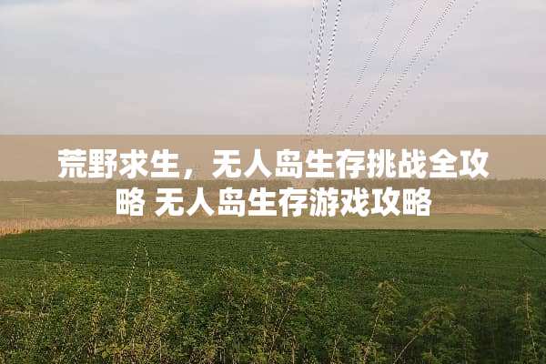 荒野求生，无人岛生存挑战全攻略 无人岛生存游戏攻略