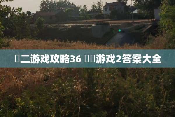 囧二游戏攻略36 囧囧游戏2答案大全
