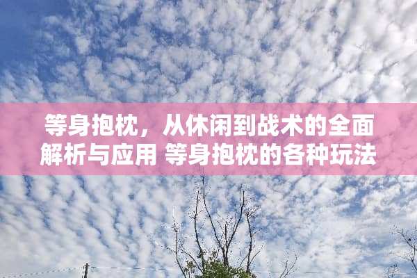 等身抱枕，从休闲到战术的全面解析与应用 等身抱枕的各种玩法