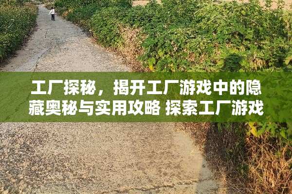 工厂探秘，揭开工厂游戏中的隐藏奥秘与实用攻略 探索工厂游戏攻略