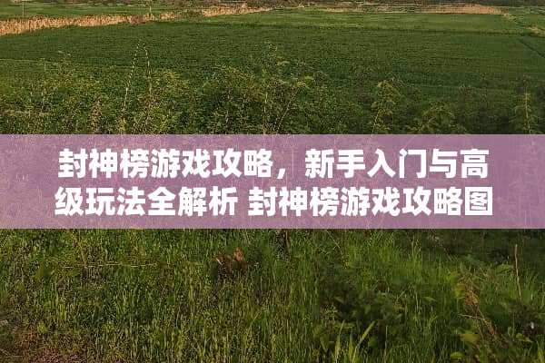 封神榜游戏攻略，新手入门与高级玩法全解析 封神榜游戏攻略图文