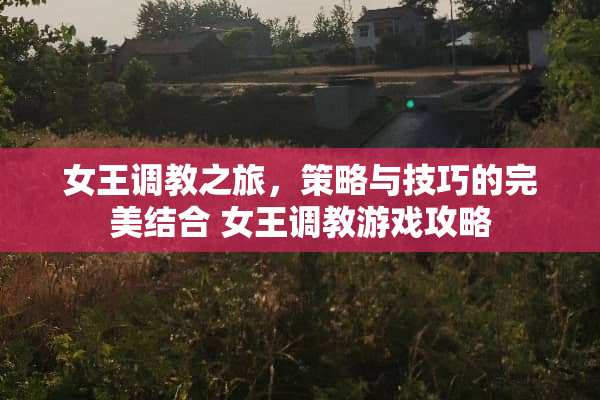 女王**之旅，策略与技巧的完美结合 女王**游戏攻略