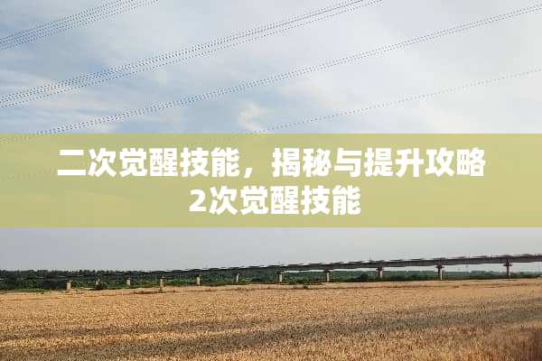 二次觉醒技能，揭秘与提升攻略 2次觉醒技能