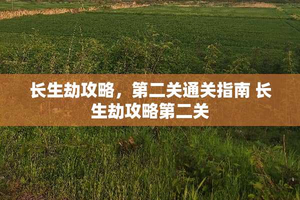 长生劫攻略，第二关通关指南 长生劫攻略第二关