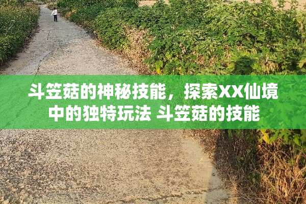 斗笠菇的神秘技能，探索XX仙境中的独特玩法 斗笠菇的技能
