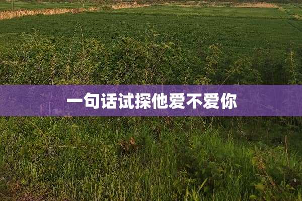 一句话试探他爱不爱你