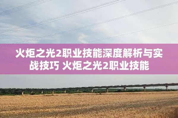 火炬之光2职业技能深度解析与实战技巧 火炬之光2职业技能