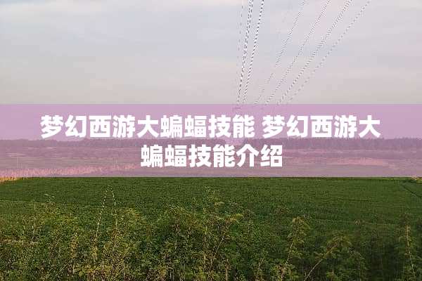梦幻西游大蝙蝠技能 梦幻西游大蝙蝠技能介绍