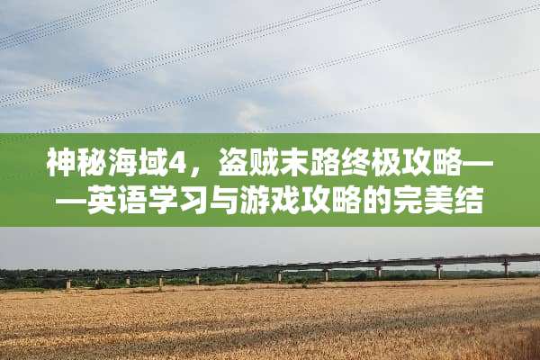 神秘海域4，盗贼末路终极攻略——英语学习与游戏攻略的完美结合 游戏攻略英语