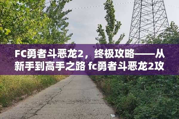 FC勇者斗恶龙2，终极攻略——从新手到高手之路 fc勇者斗恶龙2攻略