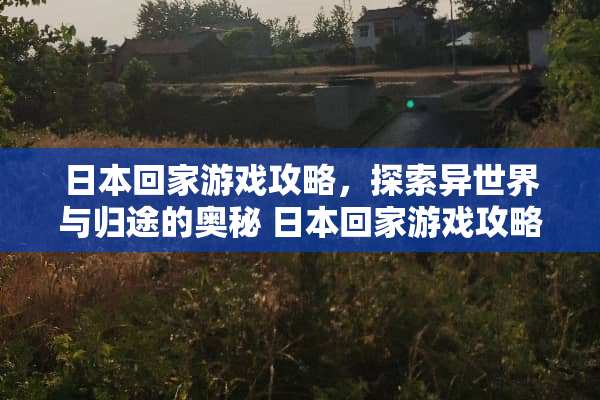 日本回家游戏攻略，探索异世界与归途的奥秘 日本回家游戏攻略
