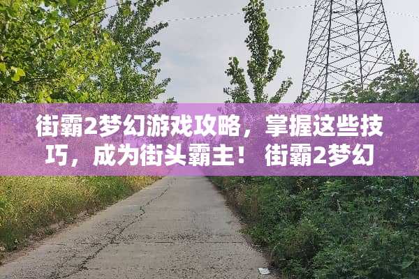 街霸2梦幻游戏攻略，掌握这些技巧，成为街头霸主！ 街霸2梦幻游戏攻略