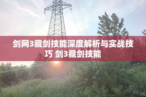 剑网3藏剑技能深度解析与实战技巧 剑3藏剑技能
