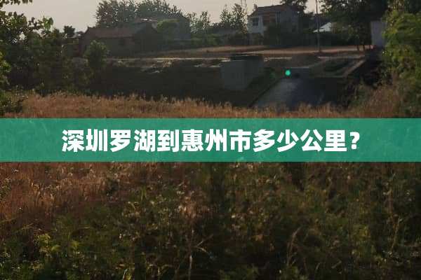 深圳罗湖到惠州市多少公里？