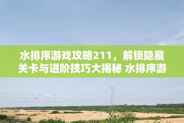 水排序游戏攻略211，解锁隐藏关卡与进阶技巧大揭秘 水排序游戏攻略211