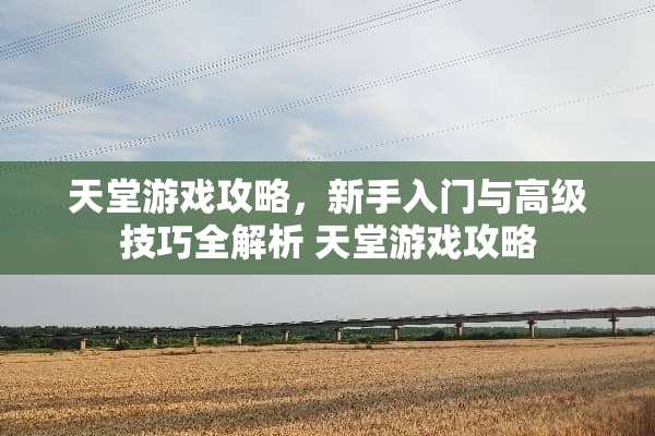 天堂游戏攻略，新手入门与高级技巧全解析 天堂游戏攻略