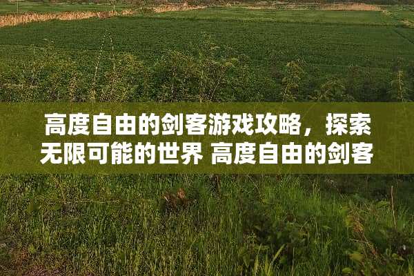 高度自由的剑客游戏攻略，探索无限可能的世界 高度自由的剑客游戏攻略