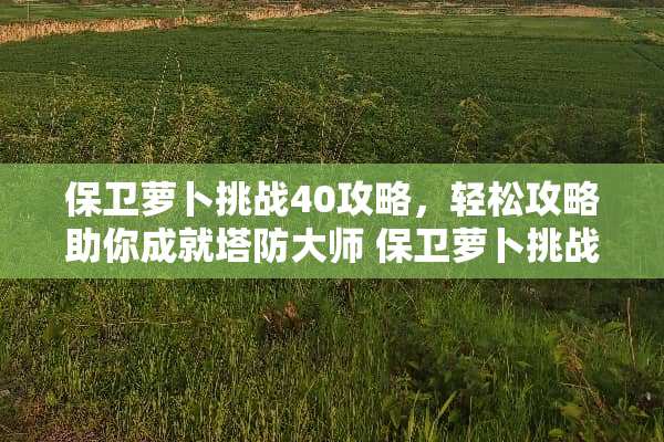 保卫萝卜挑战40攻略，轻松攻略助你成就塔防大师 保卫萝卜挑战40攻略