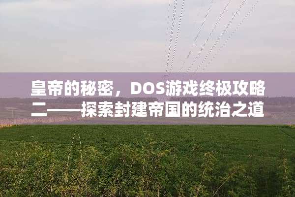 皇帝的秘密，DOS游戏终极攻略二——探索封建帝国的统治之道 dos游戏之皇帝攻略二